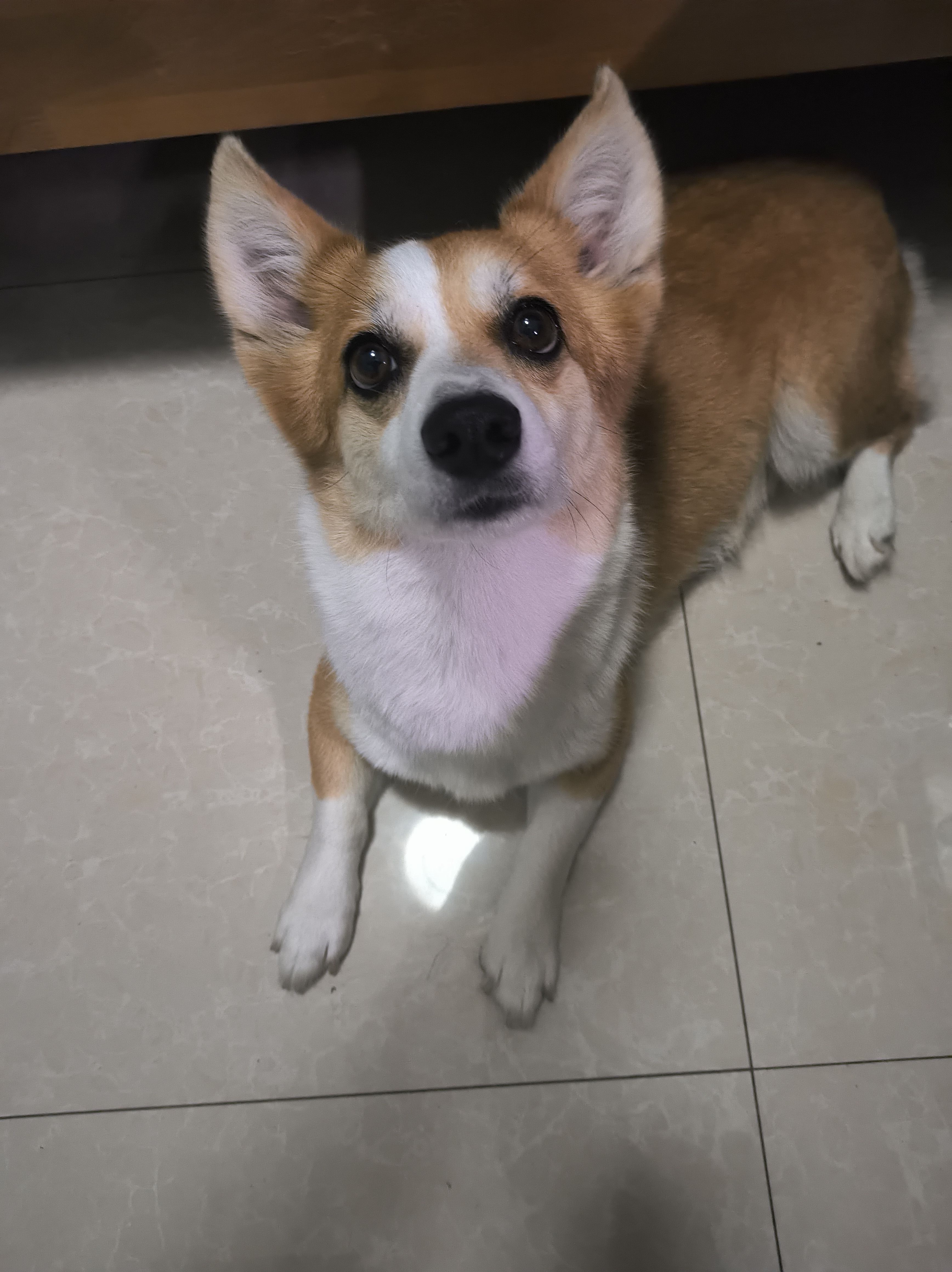 信封图片